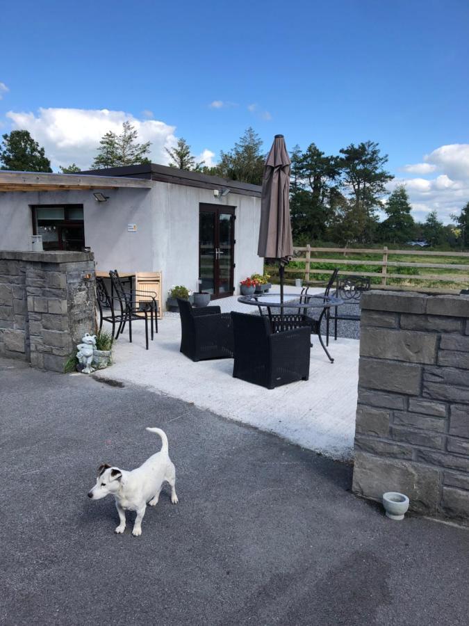 Yenooc House Appartamento Galway Esterno foto